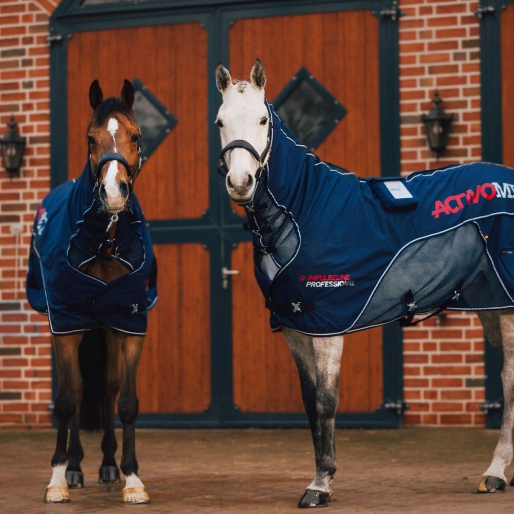 Horse Blanket, Combi Blanket, blanket for horse