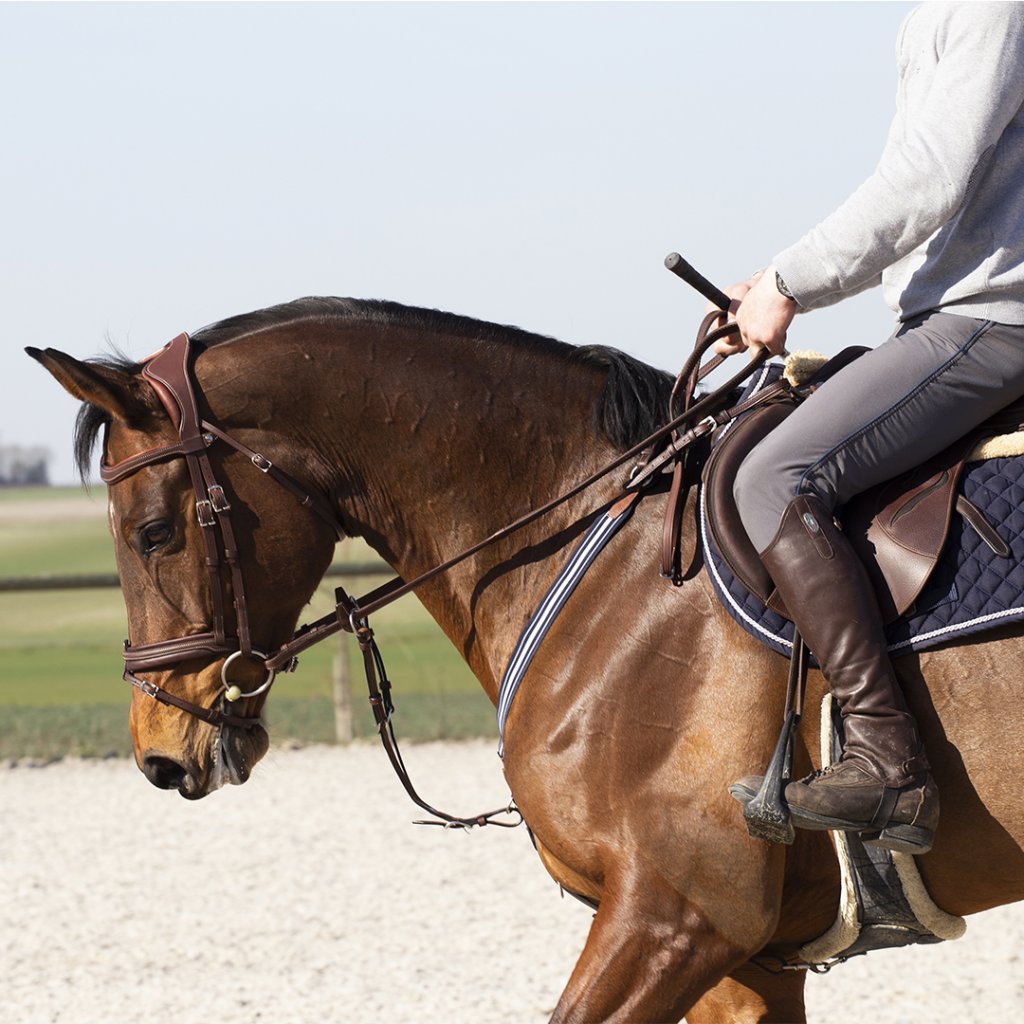 Precision Bridle, horse bridle, draw bridle