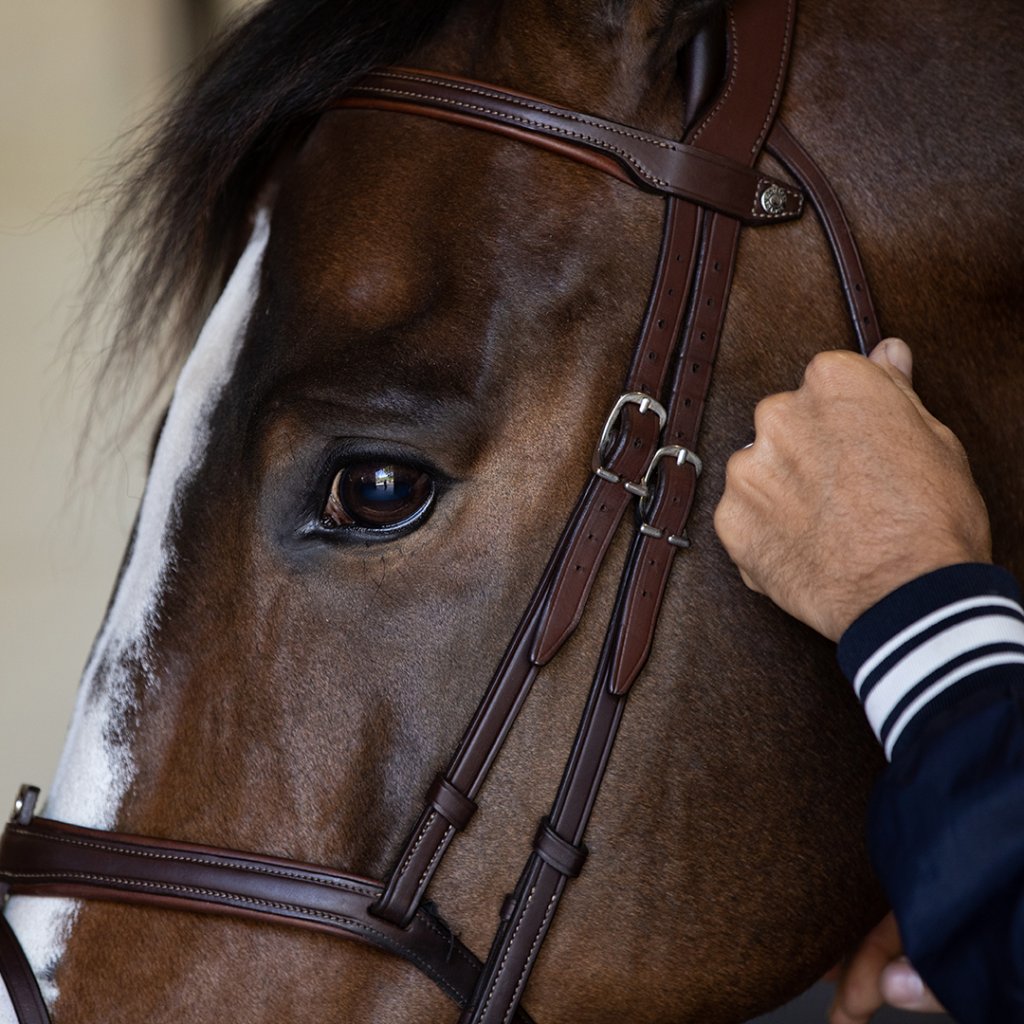 Precision Bridle, horse bridle, draw bridle