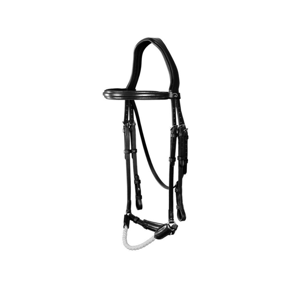 Horse Bridle, Leather bridle, bridle for horse, Horse Breastplate, Horse reins