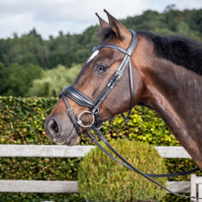 Horse Bridle, Leather bridle, bridle for horse, Horse Breastplate, Horse reins