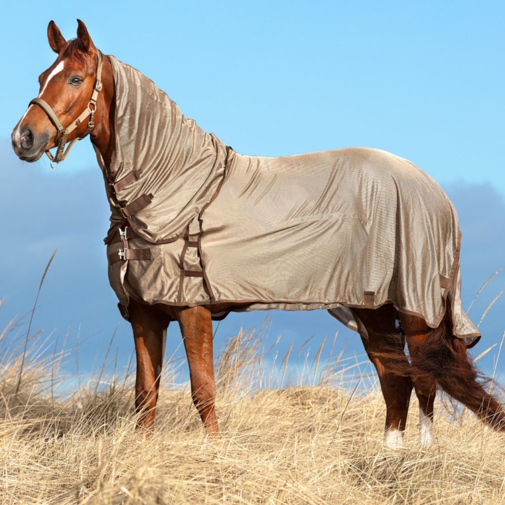 Fly Rug, horse rug, rug for horse