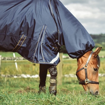  Horse Blanket