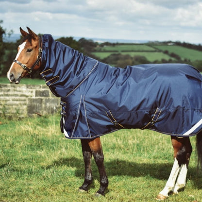  Horse Blanket