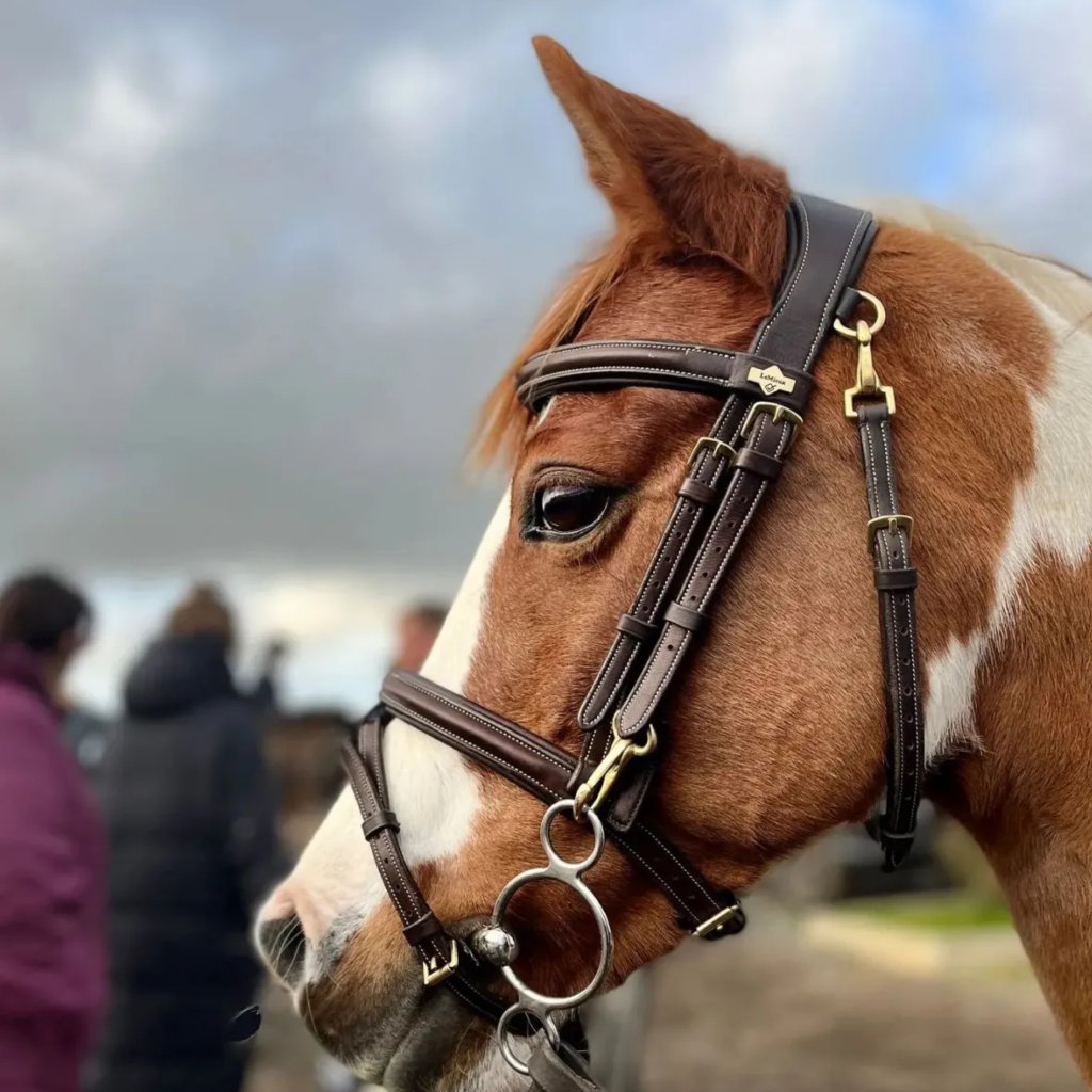 Bridle, Rider Accessories, leather bridle, horse bridle