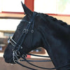 bridle, double bridle, Double Dressage Bridle, horse bridle, Horse reins