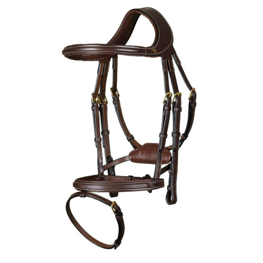 Horse Bridle